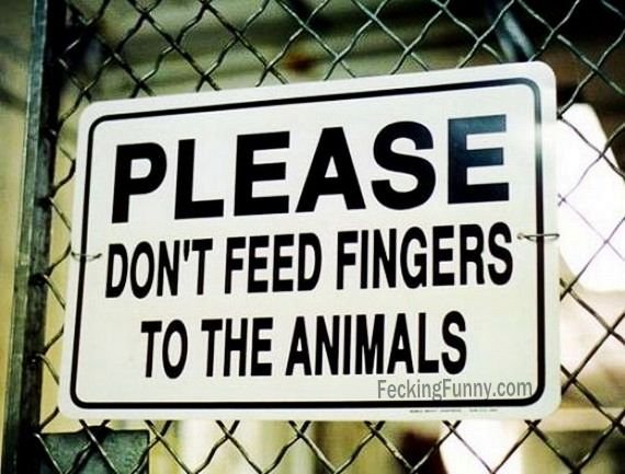 please-dont-feed-your-fingers-to-animals