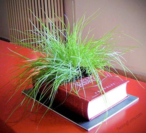 book-planter-smart-plant