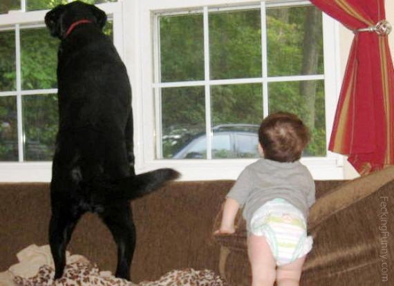 baby-and-dog-watching