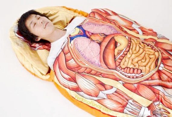 comforter-with-organs
