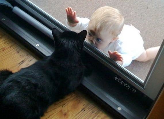 baby-and-cat-hide-and-seek