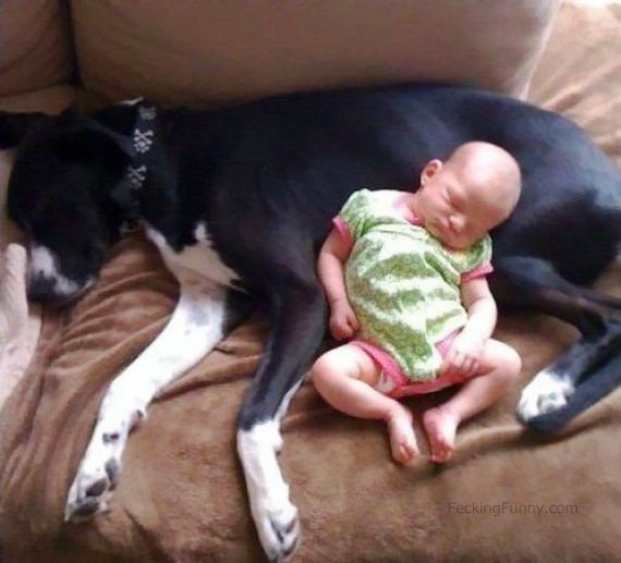 baby-sleeping-with-dog
