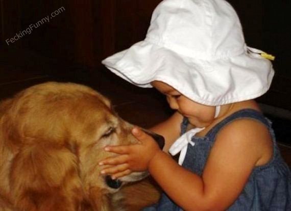 cute-dog-with-baby