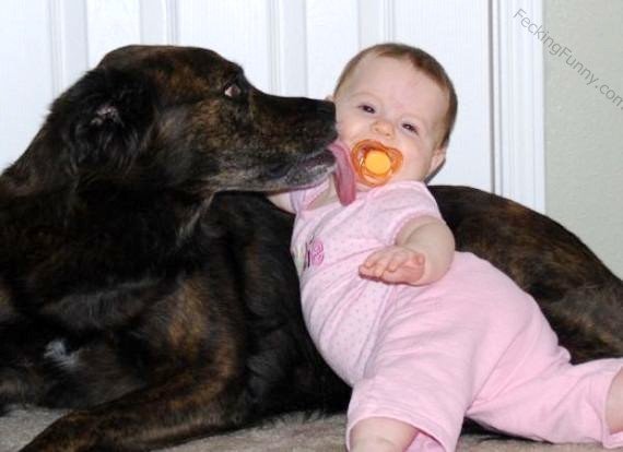 dog-kissing-baby