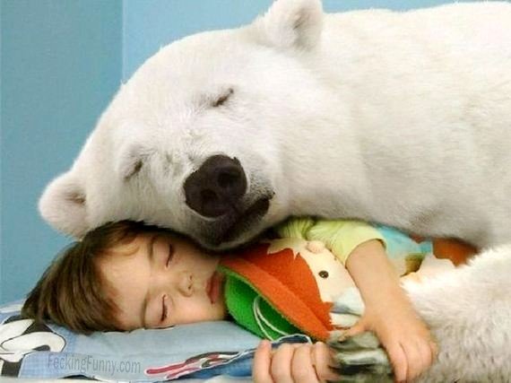 sleeping-buddies-dog-and-kid