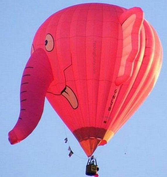 funny-hot-balloon-elephant