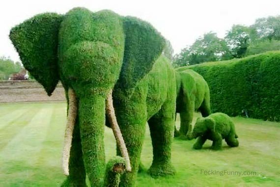 green-elephants