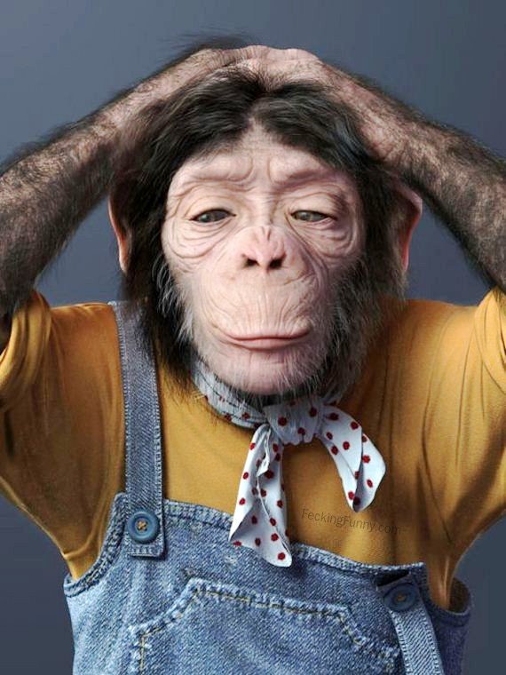 thinking-monkey