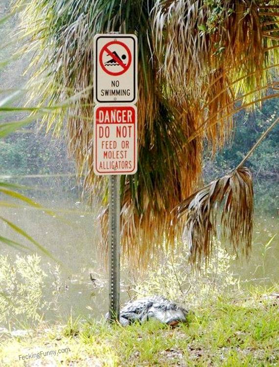 funny-sign-do-not-feed-or-molest-alligators