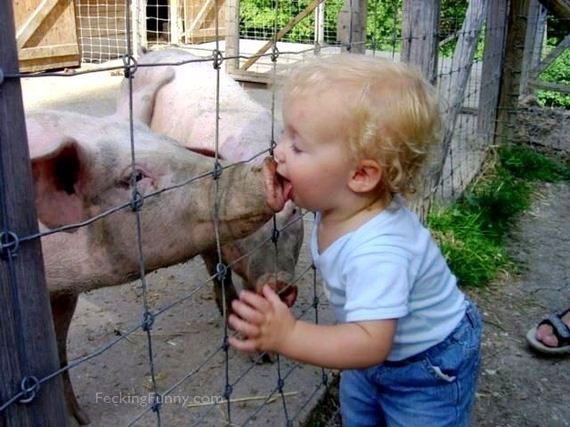 kid-wet-kissing-with-a-pig