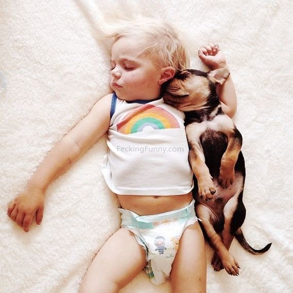 boy-and-dog-sleeping