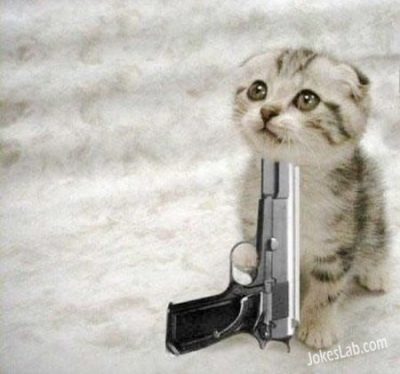 funny-cat-suicide-with-gun