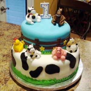 funny-birthday-cake