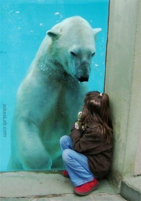 funny-polar-bear-and-girl