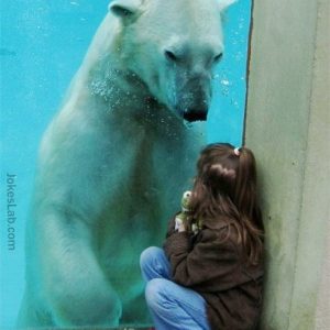 funny-polar-bear-and-girl