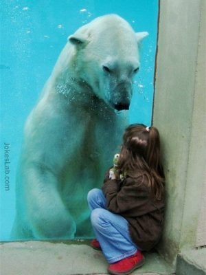 Funny polar bear looking at a little girl