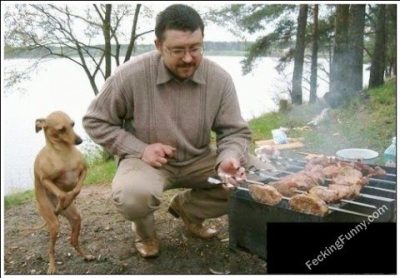 funny-dog-waiting-for-barbecue