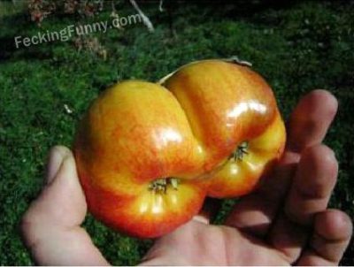 apple-with-dual-core-technology