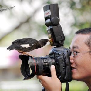 bird-knows-photography-better-than-man