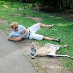 funny-dog-posing-as-owner