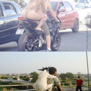 funny-motorbike--first-world-lady-and-third-world-goat