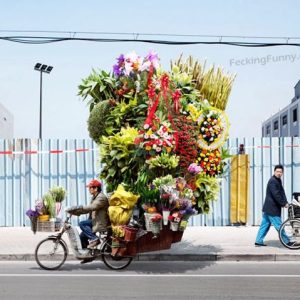 most-romatic-man-tricycle-with-flowers