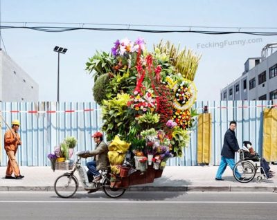 most-romatic-man-tricycle-with-flowers