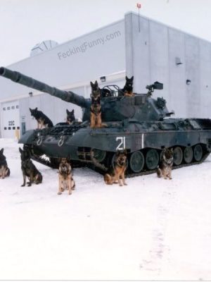 Dogs were deployed to prevent the tank from being stolen