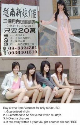 buy-a-vietnam-wife-an-ad-for-taiwan-guys