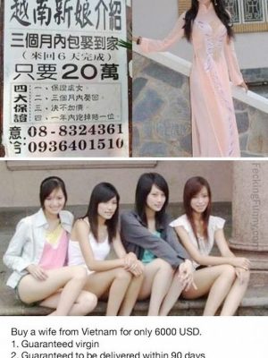 How Taiwanese guys get wife? Buy from Vietnam, with warranty!