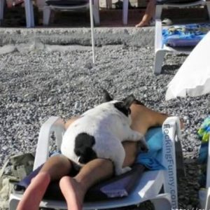 doggy-style-man-and-dog-have-sex-on-beach