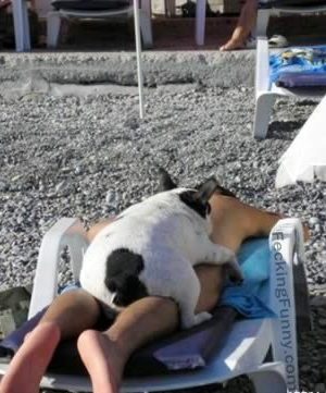 Man sleep with dog on the beach, doggy style