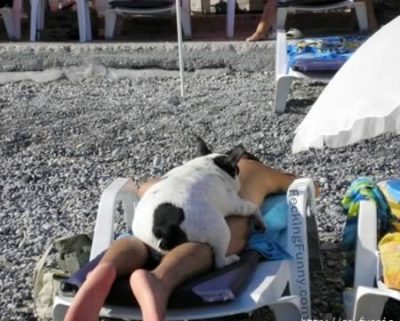 doggy-style-man-and-dog-have-sex-on-beach