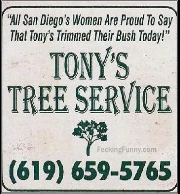 tony-bush-trimming-service