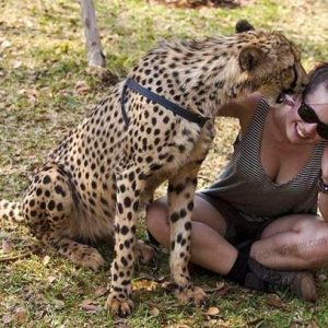 beauty-and-beast-woman-and-leopard