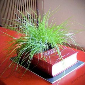 book-planter-smart-plant