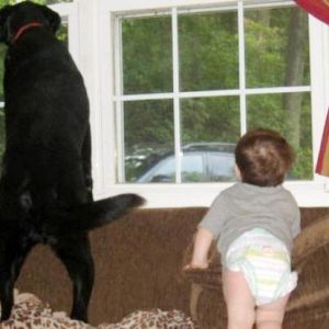 baby-and-dog-watching