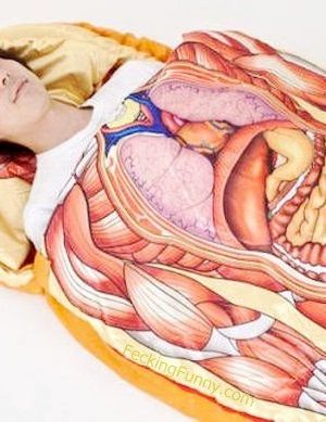 Comforter with organs