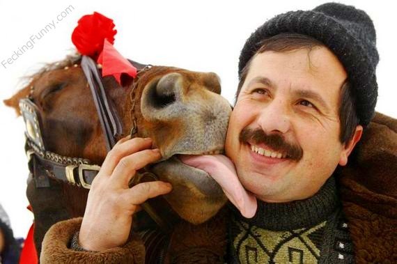 guy-married-with-his-horse
