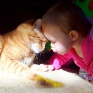 baby-and-cat