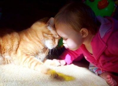 baby-and-cat