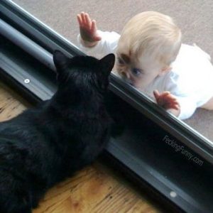 baby-and-cat-hide-and-seek
