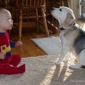 baby-sitting-dog