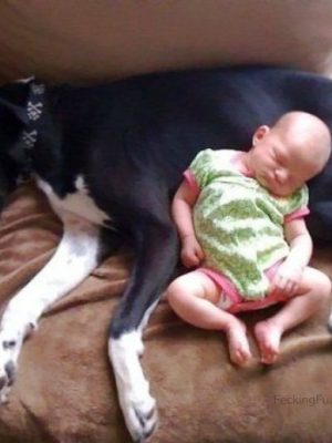 Baby sleeping with dog