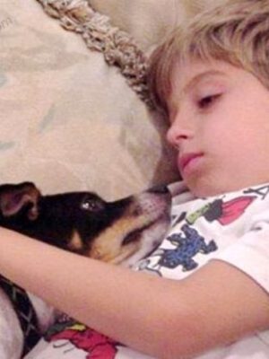 Why sleeping with dog is better than with a girl