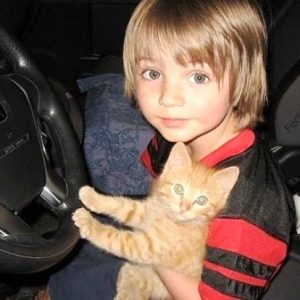 cat-driving-car-look-like-eyes-with-girl