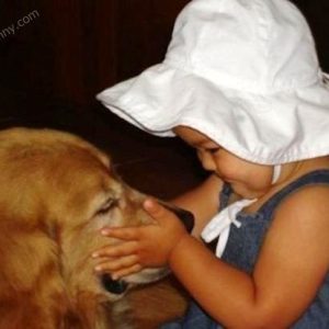 cute-dog-with-baby