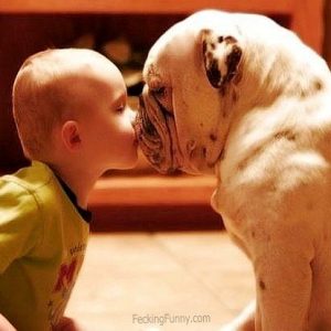dog-and-baby-nose-to-nose