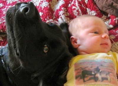 dog-and-baby-talking