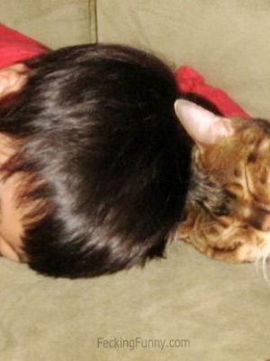 Head-to-head sleeping with cat